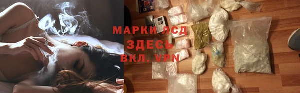 сатива Балахна