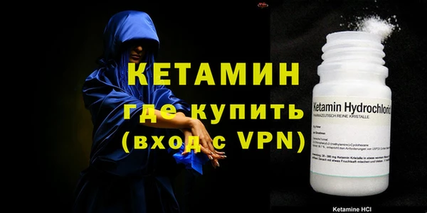сатива Балахна