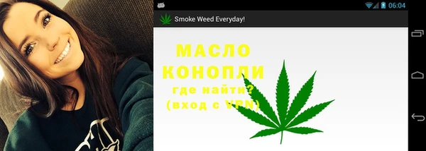 сатива Балахна