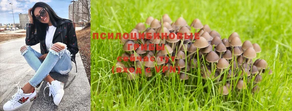 сатива Балахна