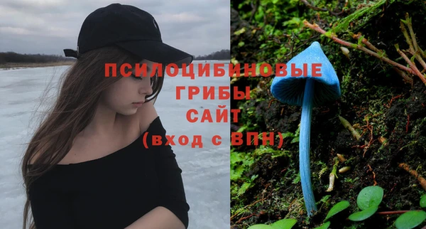 сатива Балахна